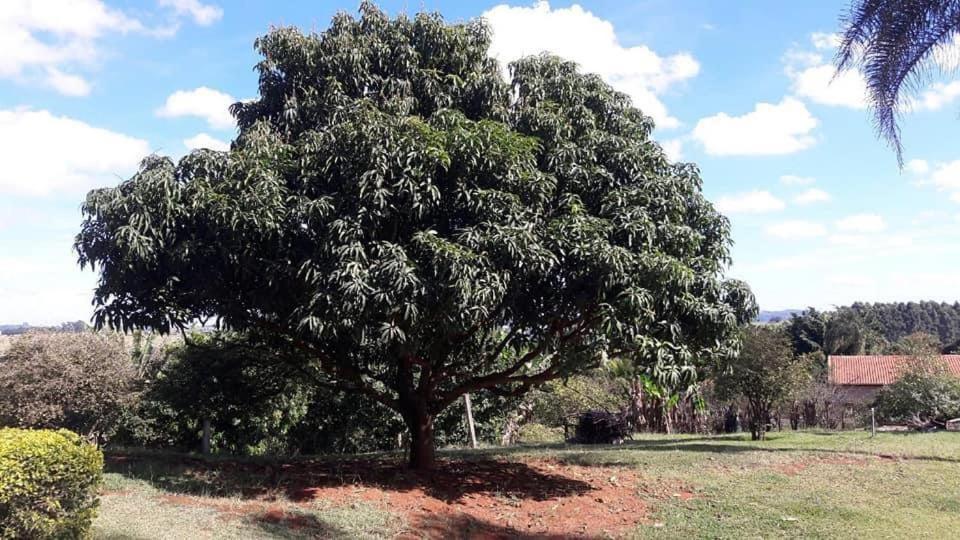 Sitio Em Atibaia - Sitio Beija-Flor别墅 外观 照片